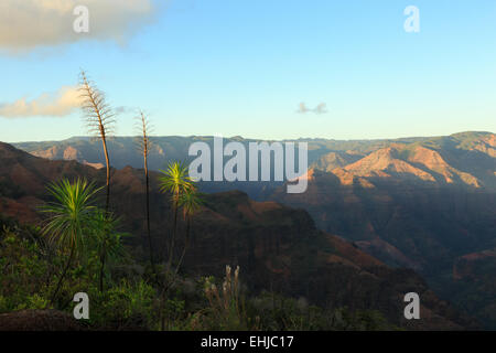 Blick über Waimea Canyon, der Insel Kauai, Hawaii Stockfoto