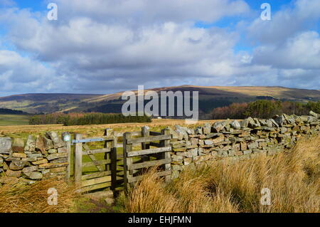 Stil in Trockenmauer auf Pennine Way in der Nähe von Alston in Tynedale. Stockfoto