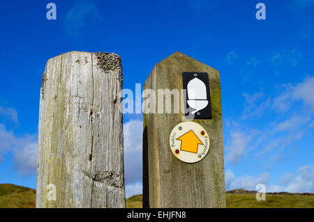 Wegweiser auf Pennine Way in Tynedale, in der Nähe von Alston. Stockfoto