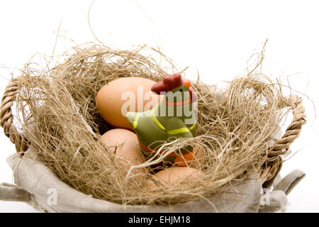 Eiern in den Korb mit Geflügel Stockfoto