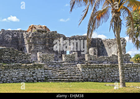 Großer Palast Tulum Maya Mexiko vor Ort Stockfoto