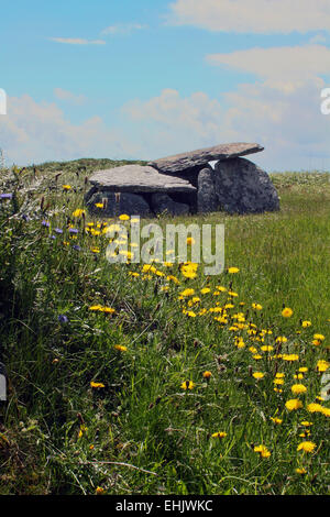 Stein zu ändern, in der Nähe von Goleen County cork, Irland Stockfoto