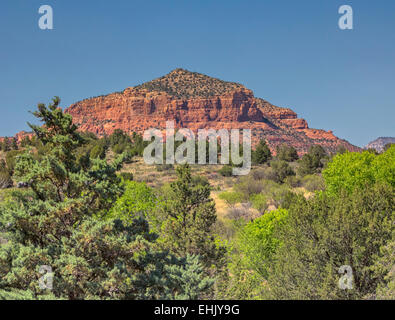 Ansicht von Castle Rock auch bekannt als Red Butte (Apache name Che Hallo Chos) Wald und südwestlichen landschaftlich, Sedona Arizona U Stockfoto