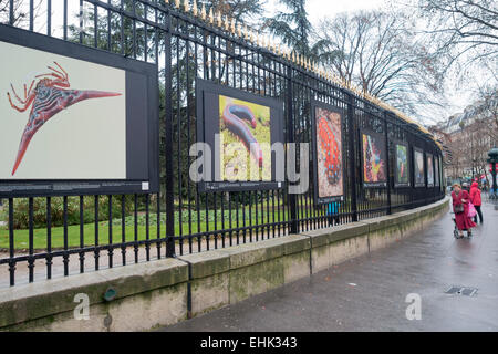 Fotoausstellung über das Eisengitter des Jardin du Luxembourg, Paris Stockfoto