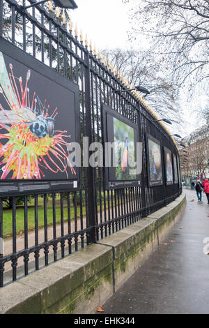 Fotoausstellung über das Eisengitter des Jardin du Luxembourg, Paris Stockfoto