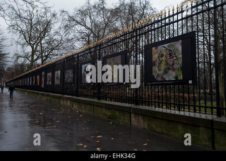 Fotoausstellung über das Eisengitter des Jardin du Luxembourg, Paris Stockfoto