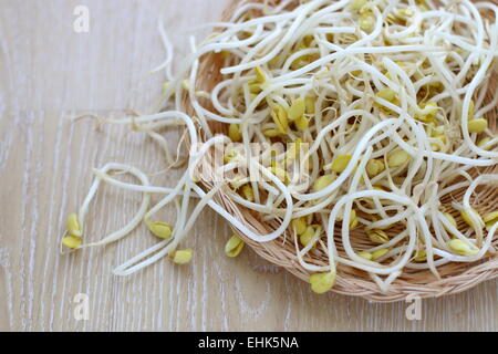 Rohen Sojasprossen Stockfoto