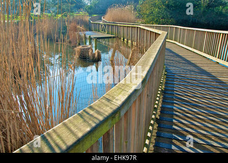 Dulwich Park Gehweg Stockfoto