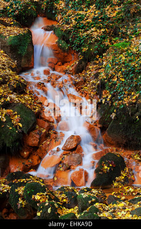 Wasserfall in der Tschechisch-Sächsische Schweiz Stockfoto