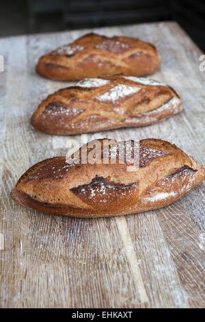 Frisch gebackene Vollkorn Brote Stockfoto