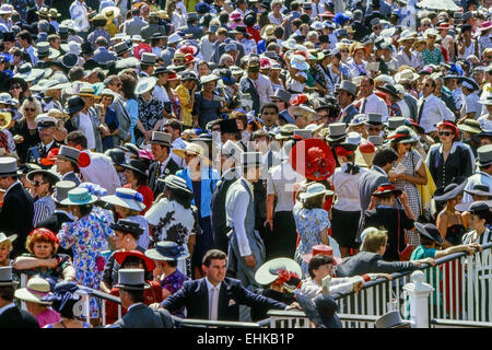 Massen im Royal Gehäuse am Ladies Day bei den Pferderennen Royal Ascot. Ascot. Berkshire. England Stockfoto