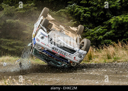 Elfyn Evans rollt seinen Ford Fiesta 2007 Pirelli internationale Rallye, das sind die einzigen Fotos des Vorfalls. Stockfoto