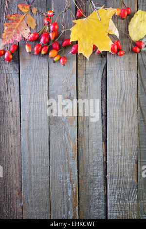 Herbst Hintergrund, trockene Blätter auf Holztisch Stockfoto