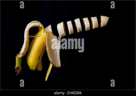 Einem Trick Schuss eine Banane aufgeschnitten und in der Luft vor einem schwarzen Hintergrund schweben Stockfoto