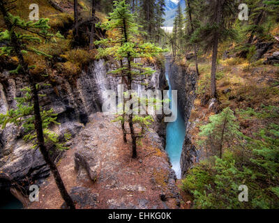 In Schönheit Creek Canyon. Jasper Nationalpark, Alberta, Kanada Stockfoto