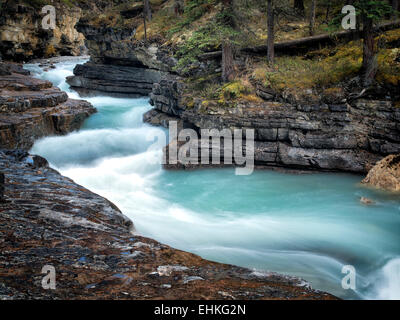 Stream in Schönheit Creek. Jasper Nationalpark, Alberta Kanada Stockfoto