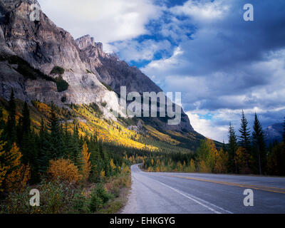 Berghang mit farbigen Espe Bäume und Straße fallen. Banff Nationalpark, Alberta, Kanada Stockfoto