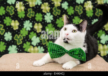 St. Patricks Tag Kat Stockfoto