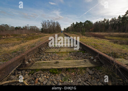 Alten Eisenbahnlinie "Borkense Kurs" in der Nähe der deutschen Grenze in der Gemeinde Winterswijk Stockfoto