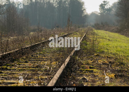 Alten Eisenbahnlinie "Borkense Kurs" in der Nähe der deutschen Grenze in der Gemeinde Winterswijk Stockfoto