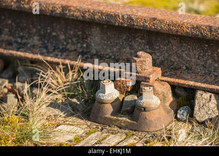 Alten Eisenbahnlinie "Borkense Kurs" in der Nähe der deutschen Grenze in der Gemeinde Winterswijk Stockfoto