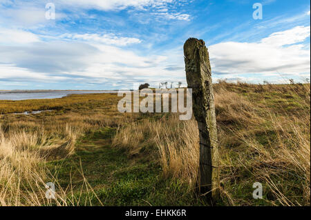 Alte Wetter geschlagen Zaunpfosten an der Küste. Stockfoto