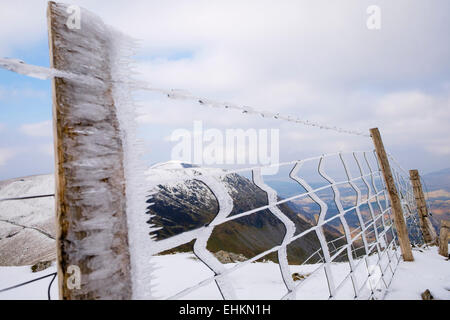 Wildes Wetter Szene mit dem windblown Eis auf einem Stacheldrahtzaun auf Goch Foel Mountain Top in Bergen im Winter Wetter. (Eryri) Wales Snowdonia GROSSBRITANNIEN Stockfoto