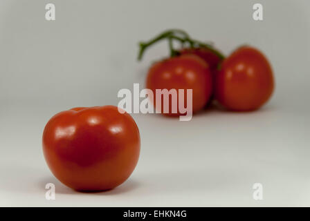 Single ripe plump red tomato backed by blurred grouping of three tomatoes with white background. Stockfoto