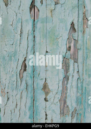 Flockige Farbe auf senkrechte Holzbohlen, Detail einer alten Tür im Aqua Farbe Stockfoto