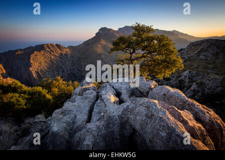 Torrente de Pareis Schlucht, Mallorca, Spanien Stockfoto