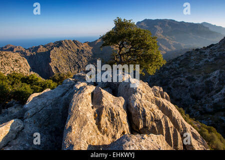 Torrente de Pareis Schlucht, Mallorca, Spanien Stockfoto