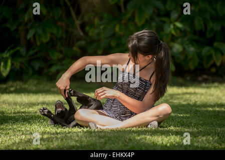 Ein junges Mädchen spielt mit ihrer Labrador-Welpe draußen auf dem Rasen von ihrem Garten. Stockfoto