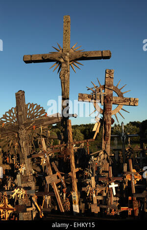 Holzkreuze am Berg der Kreuze, die wichtigste litauische katholische Wallfahrtsort in der Nähe von Siauliai, Litauen. Stockfoto