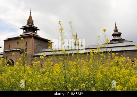 Jama Masjid Moschee, Srinagar, Kaschmir, Indien Stockfoto