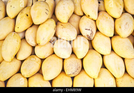 Nahaufnahme von Reife frische Mangos Stockfoto