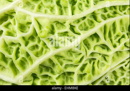 Blatt des Savoy Cabbage Nahaufnahme Stockfoto