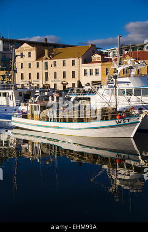 Boote im Hafen von Hobart, Hobart, Tasmanien, Australien Stockfoto