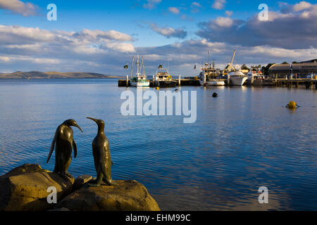 Pinguin-Statuen am Hafen von Hobart, Hobart, Tasmanien, Australien Stockfoto