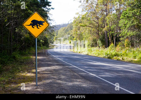 Australische Verkehrszeichen Warnung des Tasmanischen Teufeln crossing, Tasmanien, Australien Stockfoto