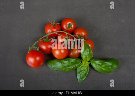 Frische Trauben Tomaten mit grünen Basilikum Blätter Stockfoto