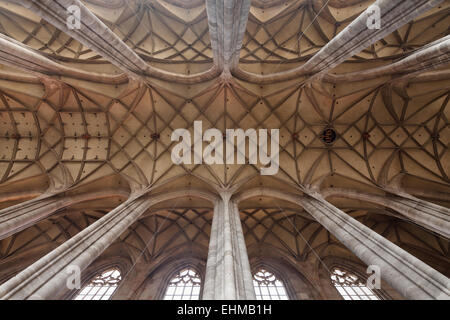 Gewölbte Decke, St.-Georgs Münster, Dinkelsbühl, Middle Franconia, Bayern, Deutschland Stockfoto