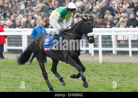 13.03.2015 - Cheltenham; Viele Wolken von Leighton Aspell auf dem Weg zum Start für den Betfred Cheltenham Gold Cup Chase Grade 1 geritten. Bildnachweis: Lajos-Eric Balogh/turfstock.com Stockfoto