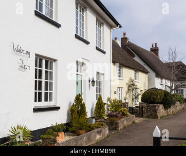 Reetgedeckte Cottages in Otterton Dorf, East Devon, England, Großbritannien Stockfoto