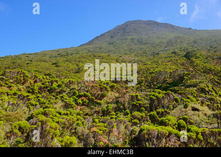 Berg Pico, Highland, Insel Pico, Azoren, Portugal Stockfoto