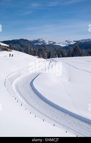 Langlaufloipe, Winklmoosalm Alm, Reit Im Winkl, Chiemgauer Alpen, Upper Bavaria, Bavaria, Germany Stockfoto