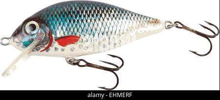 Angeln Köder detaillierte Vektor Stock Vektor