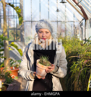 Floristen-Frau arbeitet im Gewächshaus. Stockfoto
