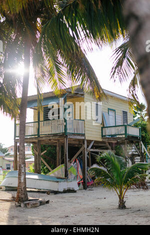Yello gestelzt Strandhütte auf Caye Caulker, Belize Stockfoto