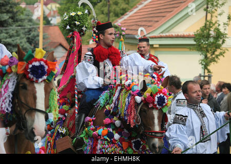 Fahren Sie von der Könige-Folklore-Festival in Vlcnov, Süd-Mähren, Tschechische Republik. Junge Männer in traditionellen mährischen Tracht gekleidet Reiten eingerichtet um die Rekruten während der Fahrt die Könige-Folklore-Festival in Vlcnov, Süd-Mähren, Tschechien durchführen. Stockfoto
