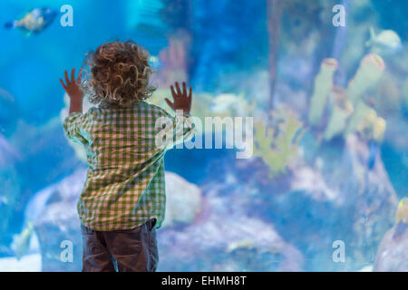 Kaukasische Baby junge Fische im Aquarium bewundern Stockfoto